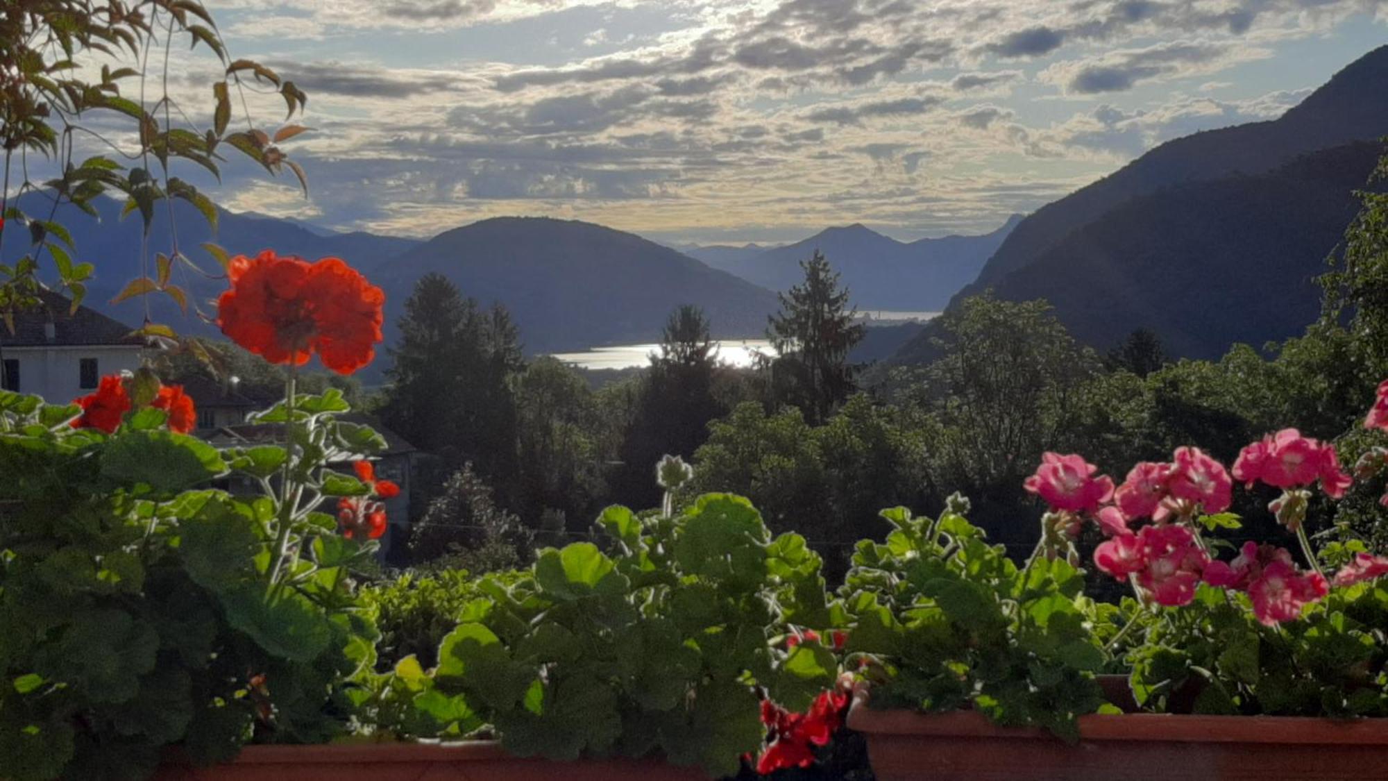 B&B Al Mutpron Casale Corte Cerro エクステリア 写真