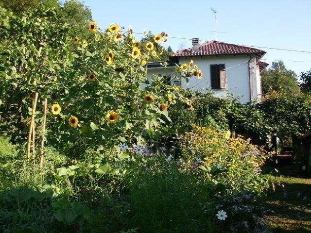 B&B Al Mutpron Casale Corte Cerro エクステリア 写真