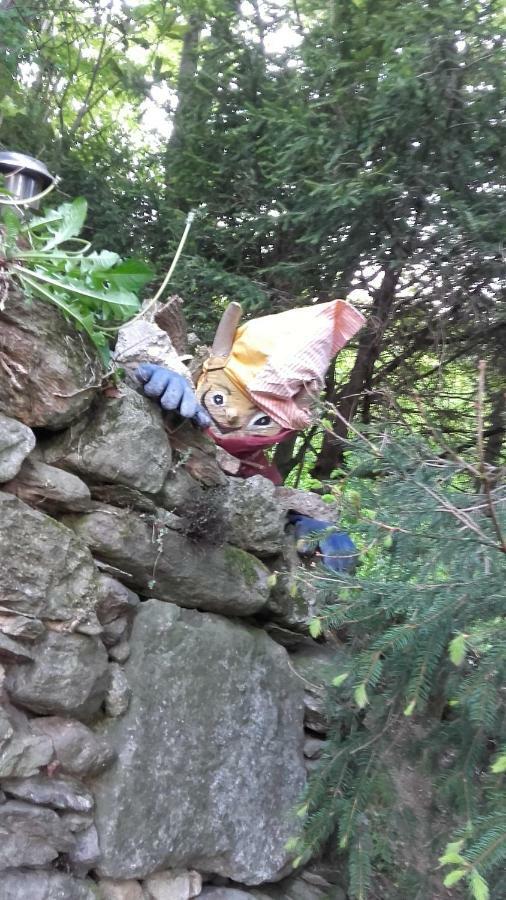 B&B Al Mutpron Casale Corte Cerro エクステリア 写真